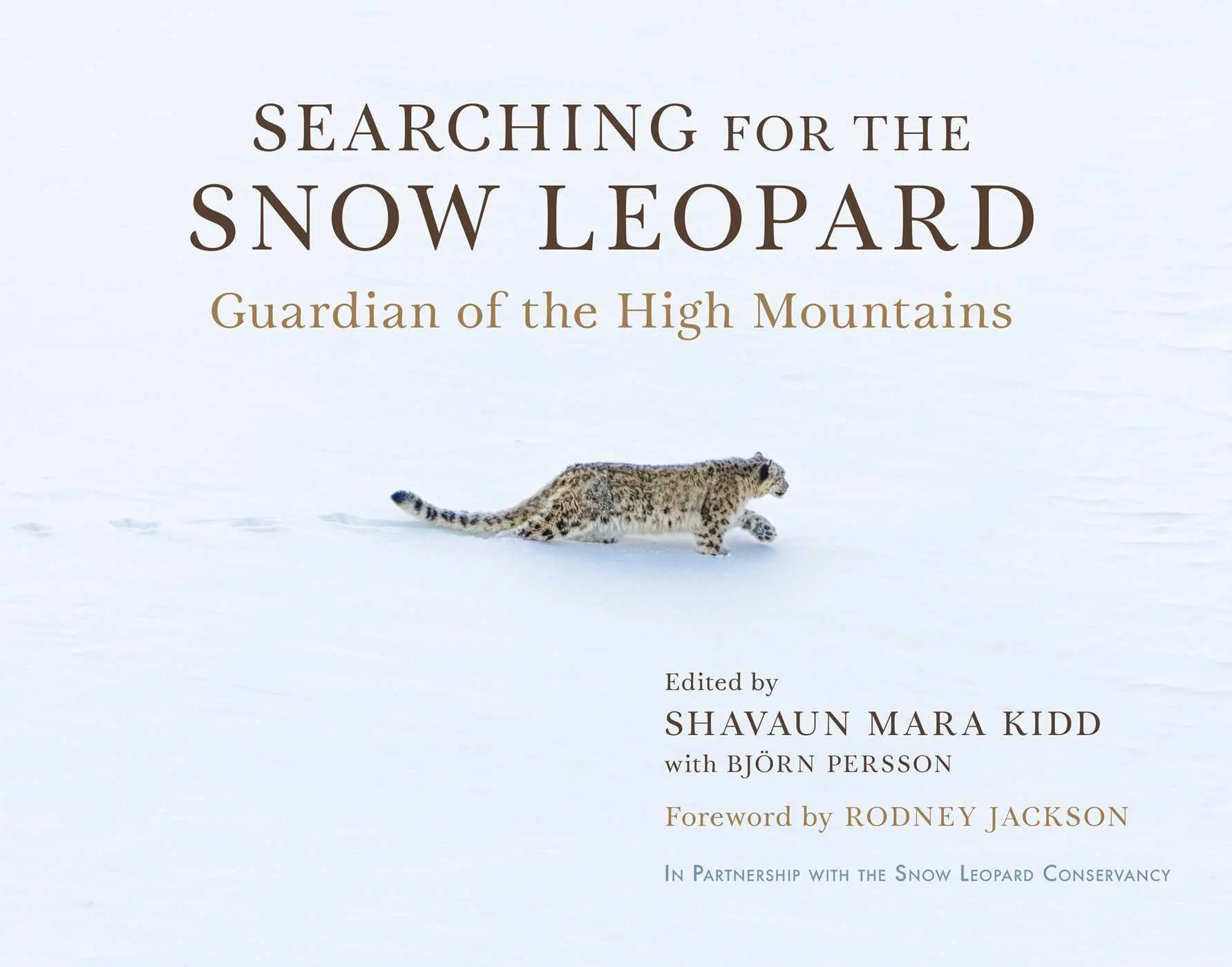 Cover: 9781950691678 | Searching for the Snow Leopard | Guardian of the High Mountains | Buch