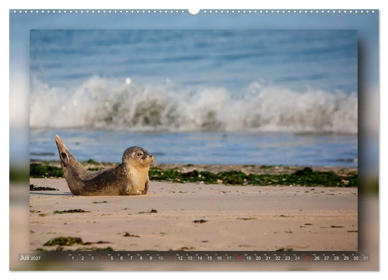 Bild: 9783594091678 | Baltrum - Ein Tag am Strand (Wandkalender 2027 DIN A2 quer),...