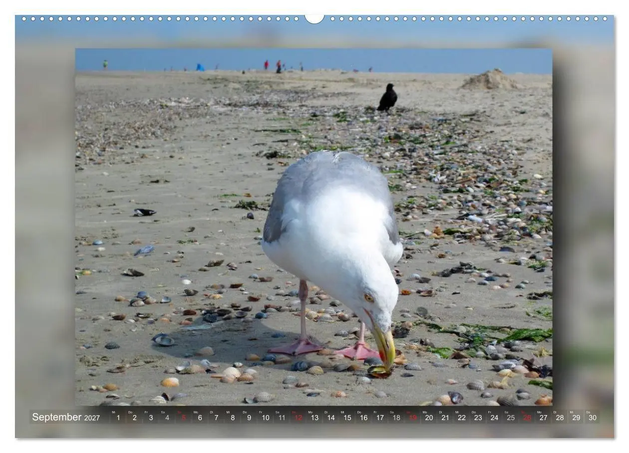 Bild: 9783594091678 | Baltrum - Ein Tag am Strand (Wandkalender 2027 DIN A2 quer),...