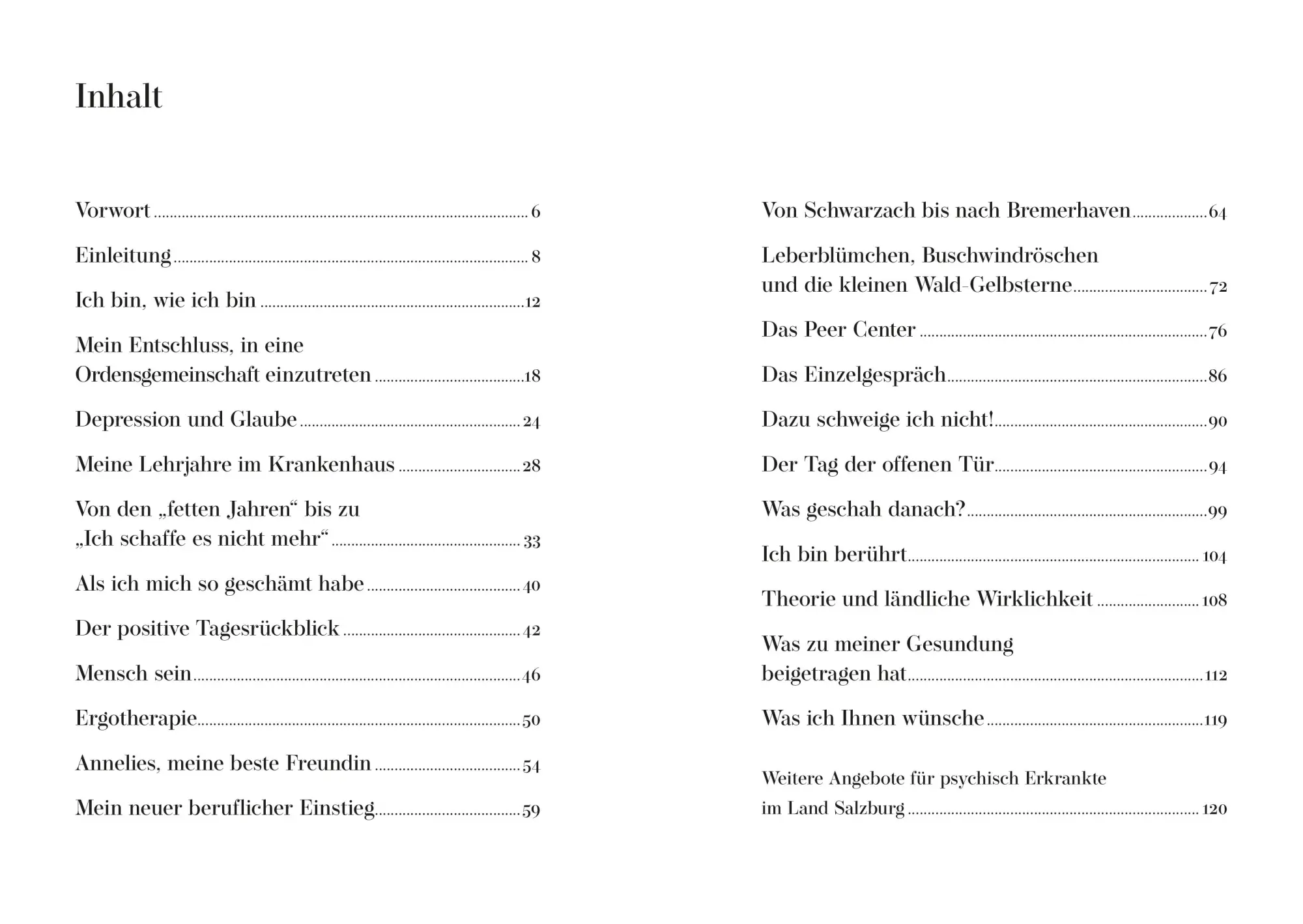 Bild: 9783702511678 | Mein Leben in vielen Farben | Michaela Lerchner | Taschenbuch | 120 S.