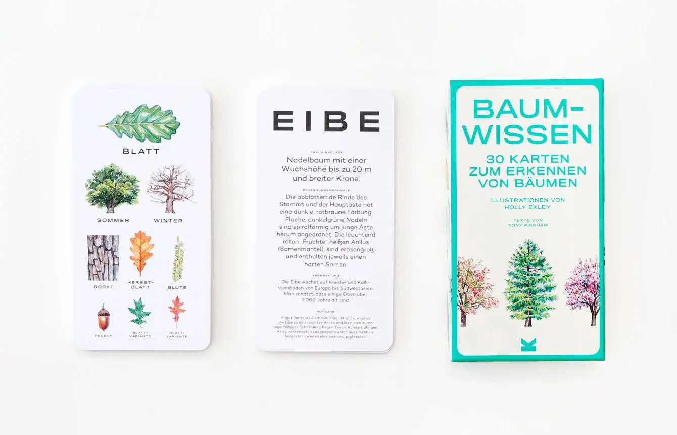 Bild: 9783962441678 | Baum-Wissen | 30 Karten zum Erkennen von Bäumen | Tony Kirkham | 30 S.