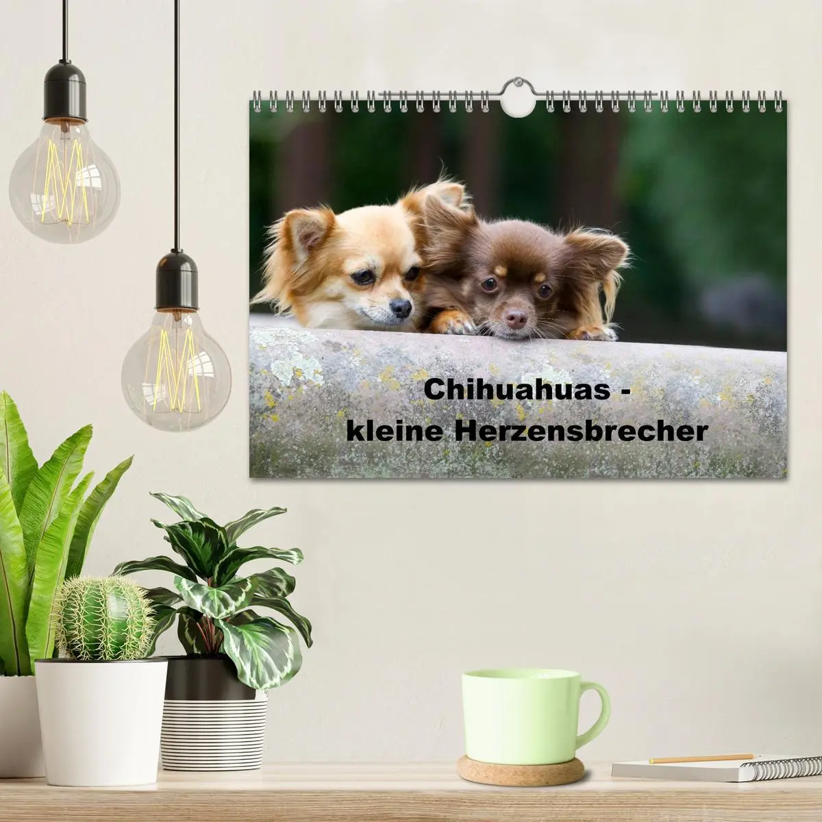 Bild: 9783516171778 | Chihuahuas - kleine Herzensbrecher (Wandkalender 2026 DIN A4 quer),...