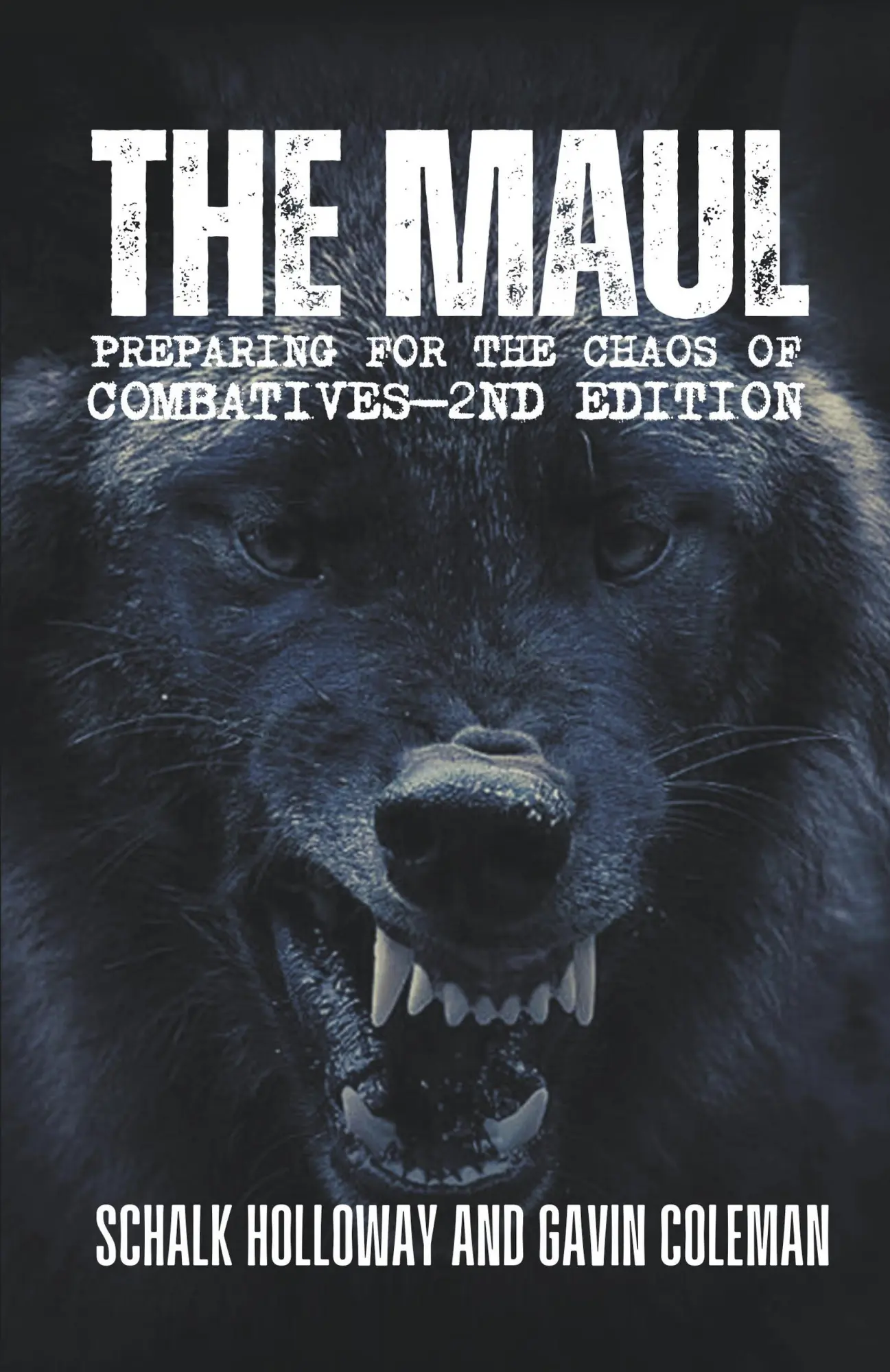 Cover: 9798223761778 | The Maul | Schalk Holloway | Taschenbuch | Englisch | 2023