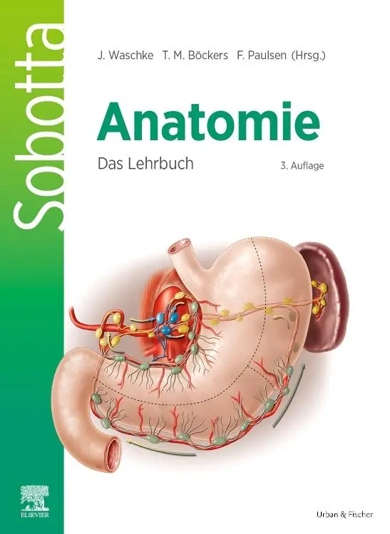 Cover: 9783437411878 | Sobotta Anatomie - Das Lehrbuch | Tobias M. Böckers (u. a.) | Buch