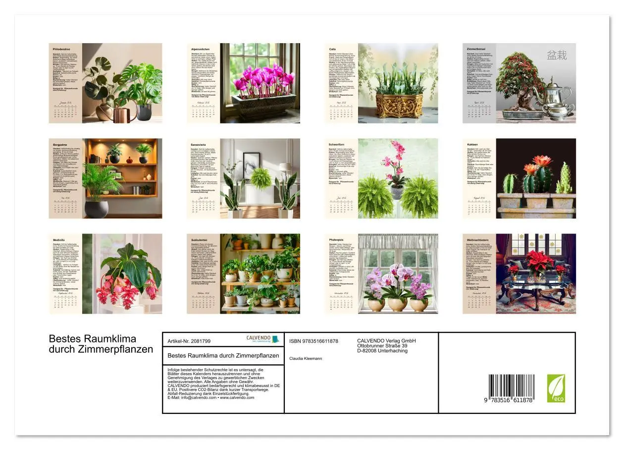 Bild: 9783516611878 | Bestes Raumklima durch Zimmerpflanzen (Wandkalender 2026 DIN A3...
