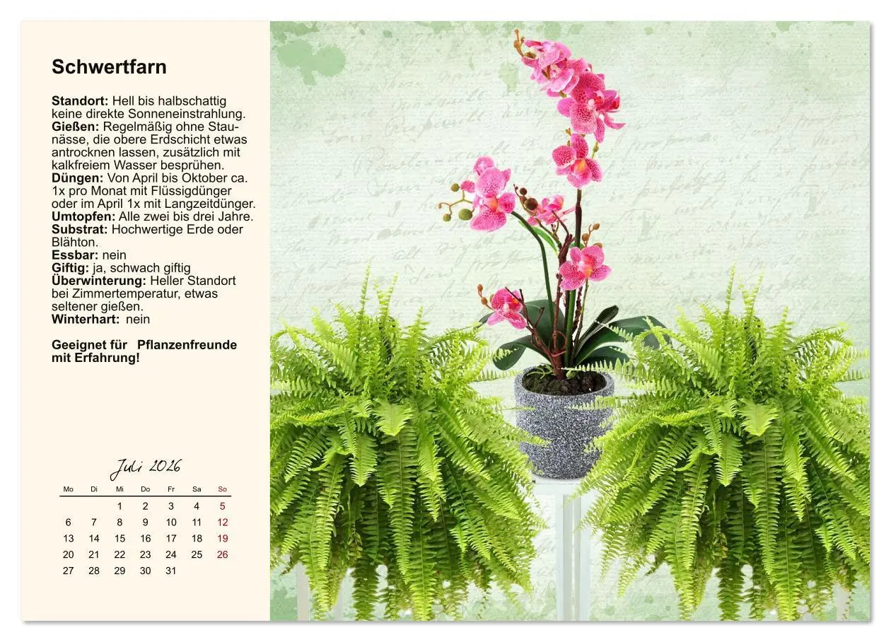 Bild: 9783516611878 | Bestes Raumklima durch Zimmerpflanzen (Wandkalender 2026 DIN A3...