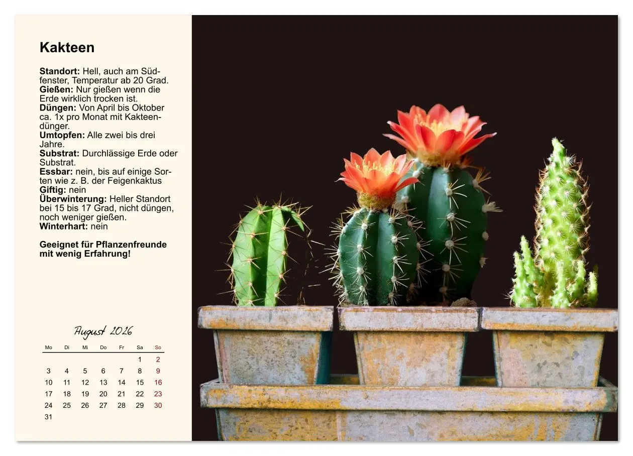 Bild: 9783516611878 | Bestes Raumklima durch Zimmerpflanzen (Wandkalender 2026 DIN A3...