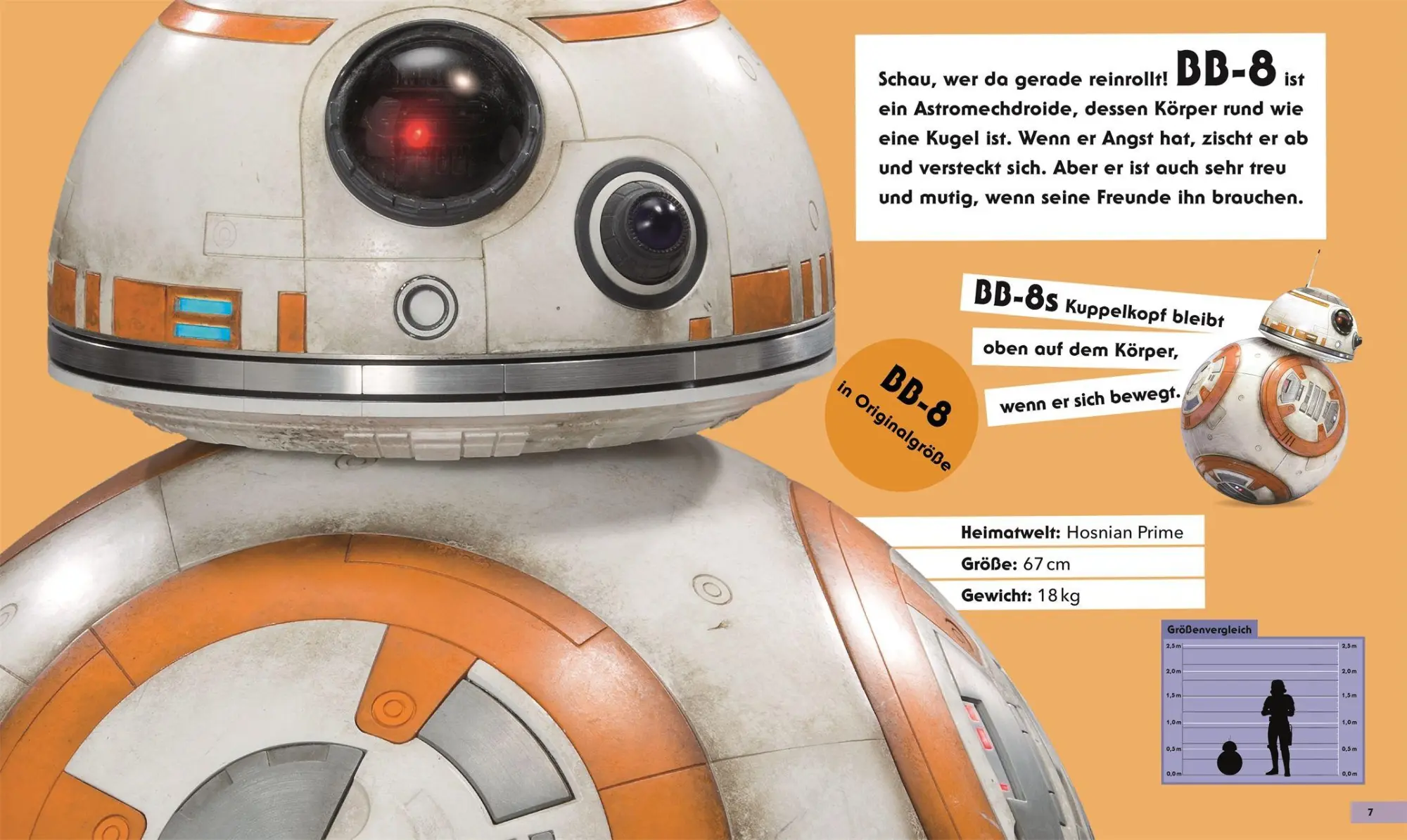Bild: 9783831051878 | Star Wars(TM) In Lebensgröße | Hannah Dolan | Buch | 48 S. | Deutsch