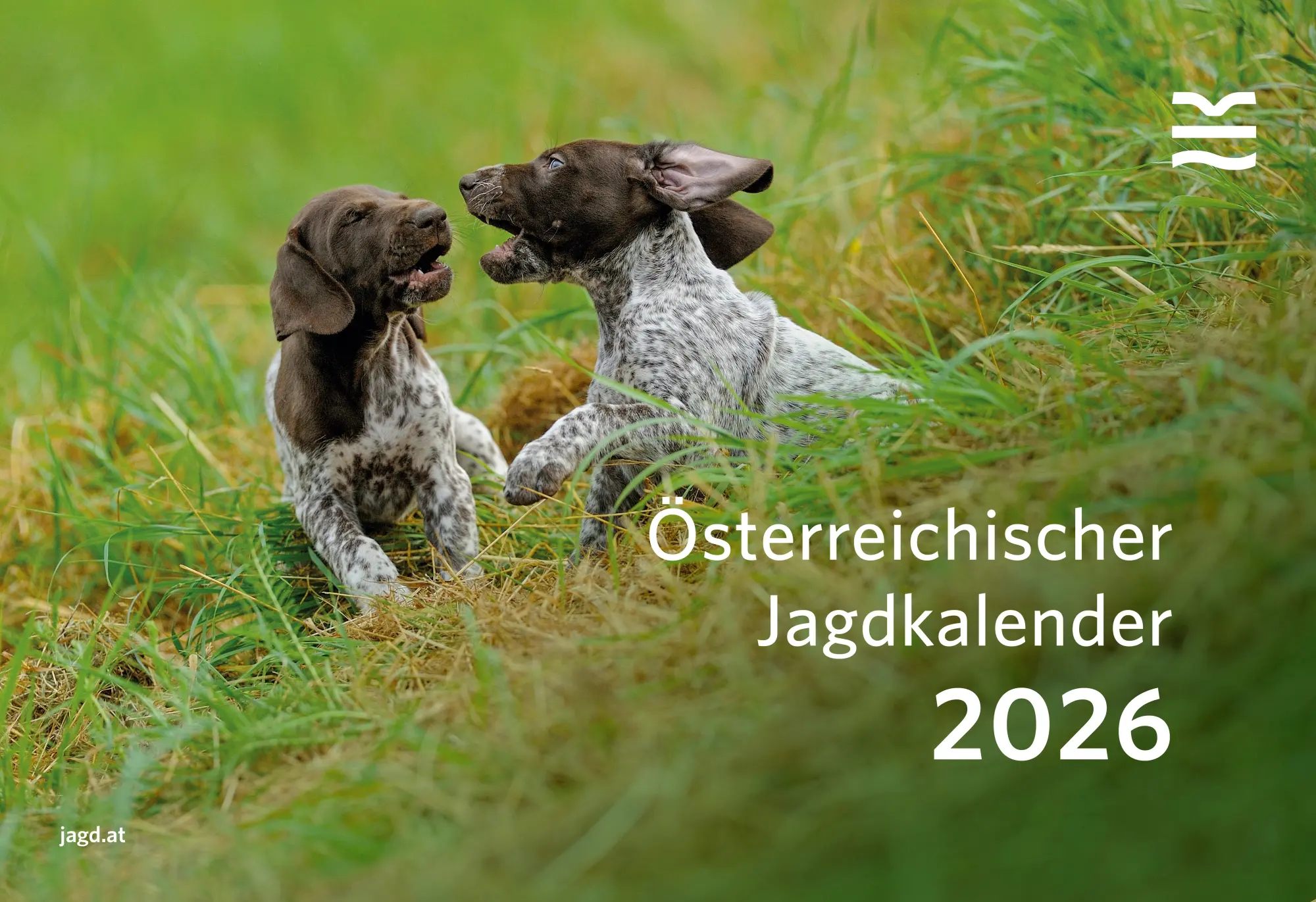 Cover: 9783852081878 | Österreichischer Jagdkalender 2026 | Maße (B/H): 29 x 19 cm | Kalender