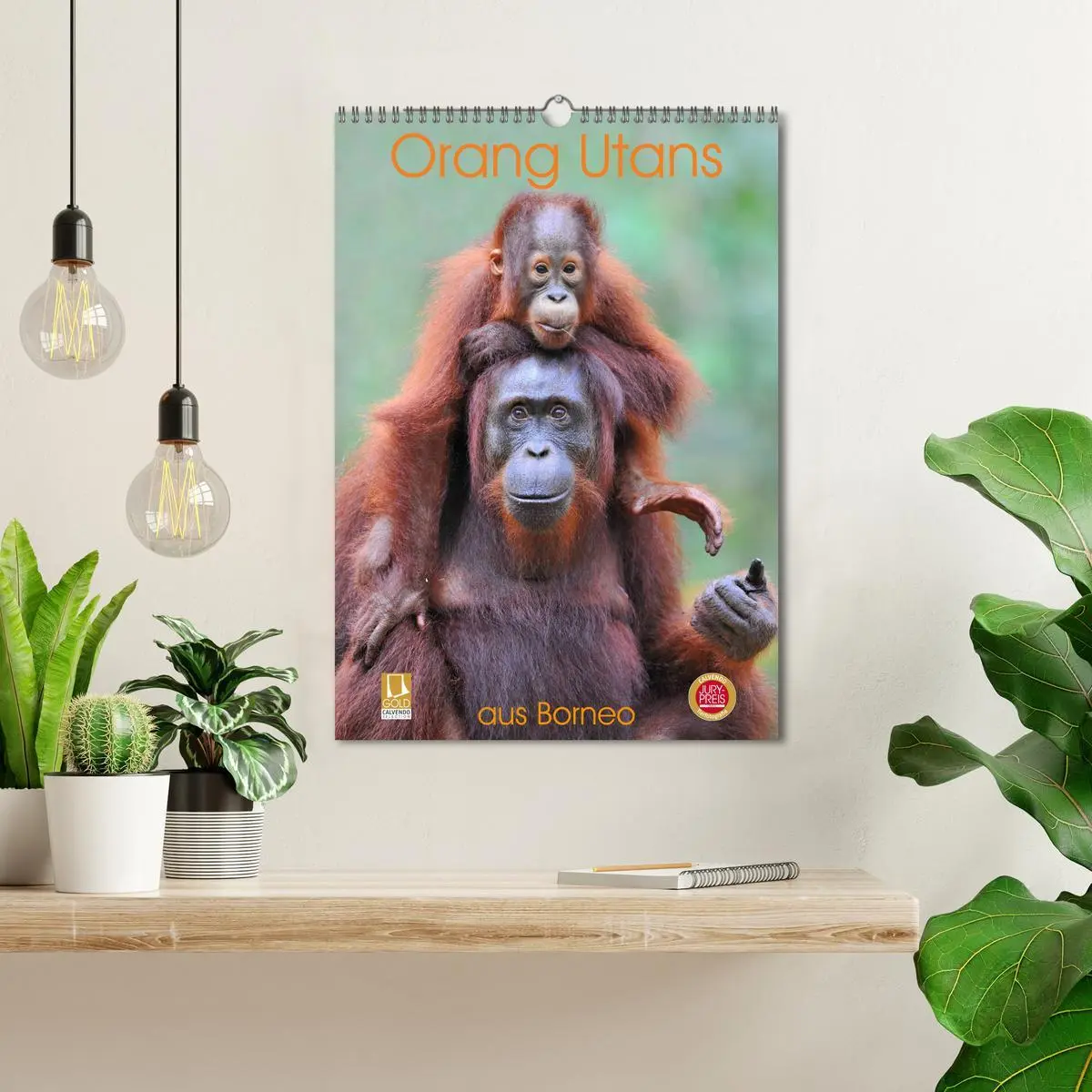 Bild: 9783516391978 | Orang Utans aus Borneo (Wandkalender 2026 DIN A3 hoch), CALVENDO...