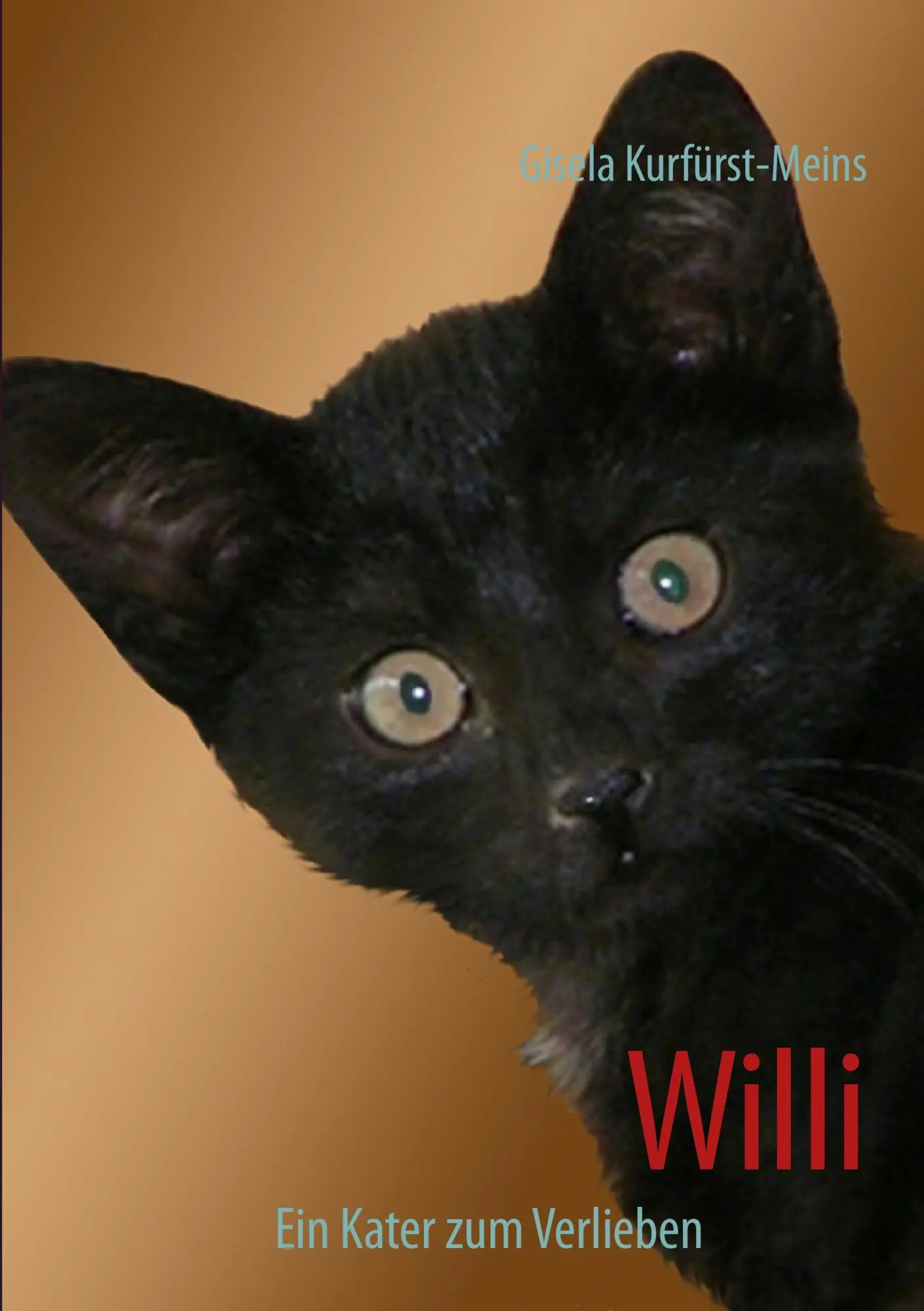 Cover: 9783732281978 | Willi | Ein Kater zum verlieben | Gisela Kurfürst-Meins | Taschenbuch