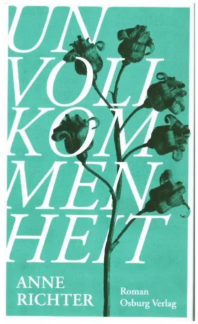 Cover: 9783955101978 | Unvollkommenheit | Roman | Anne Richter | Buch | 300 S. | Deutsch