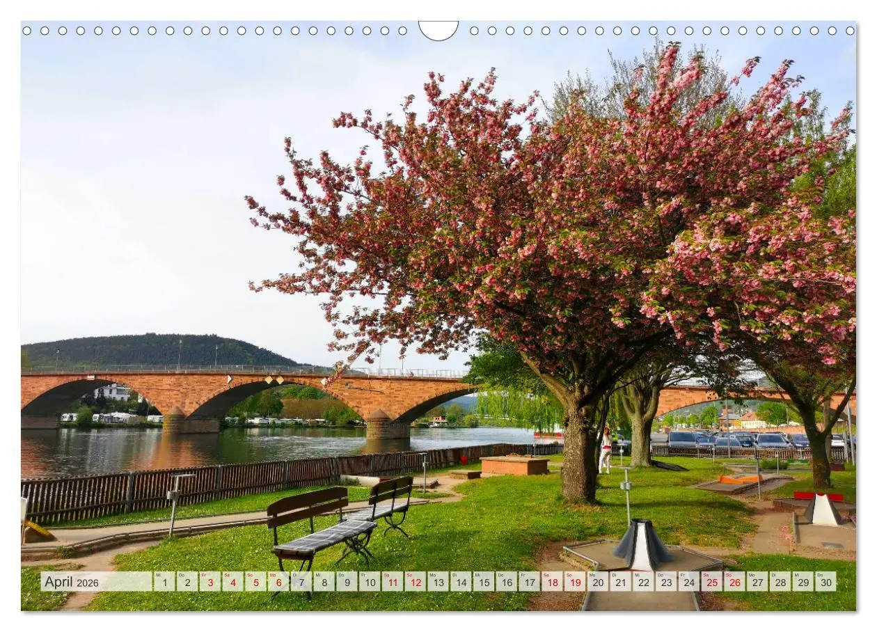 Bild: 9783457402078 | Miltenberg neu entdeckt (Wandkalender 2026 DIN A3 quer), CALVENDO...