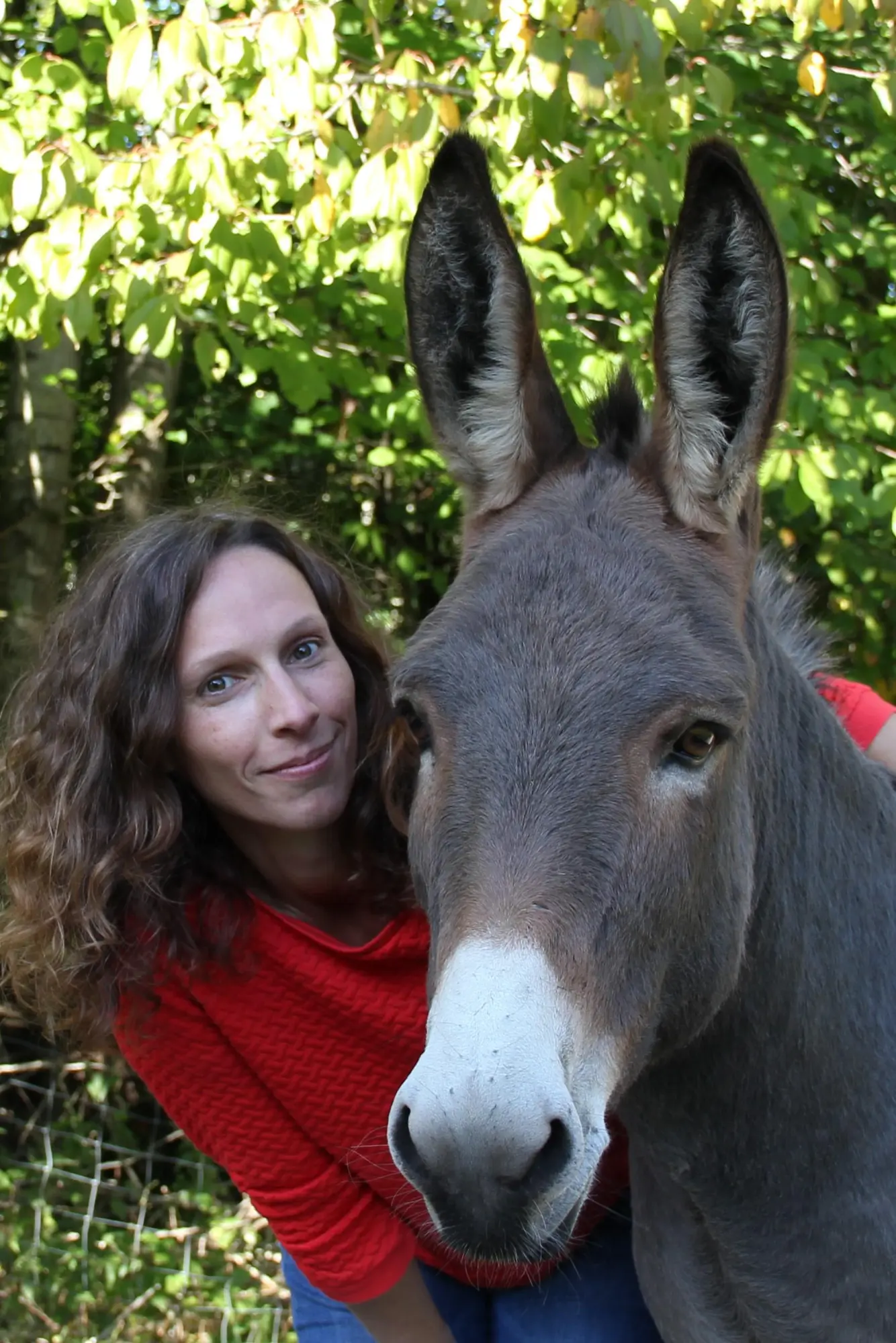 Autor: 9783505152078 | Ponyschule Trippelwick - Eselisch für Anfänger | Ellie Mattes | Buch