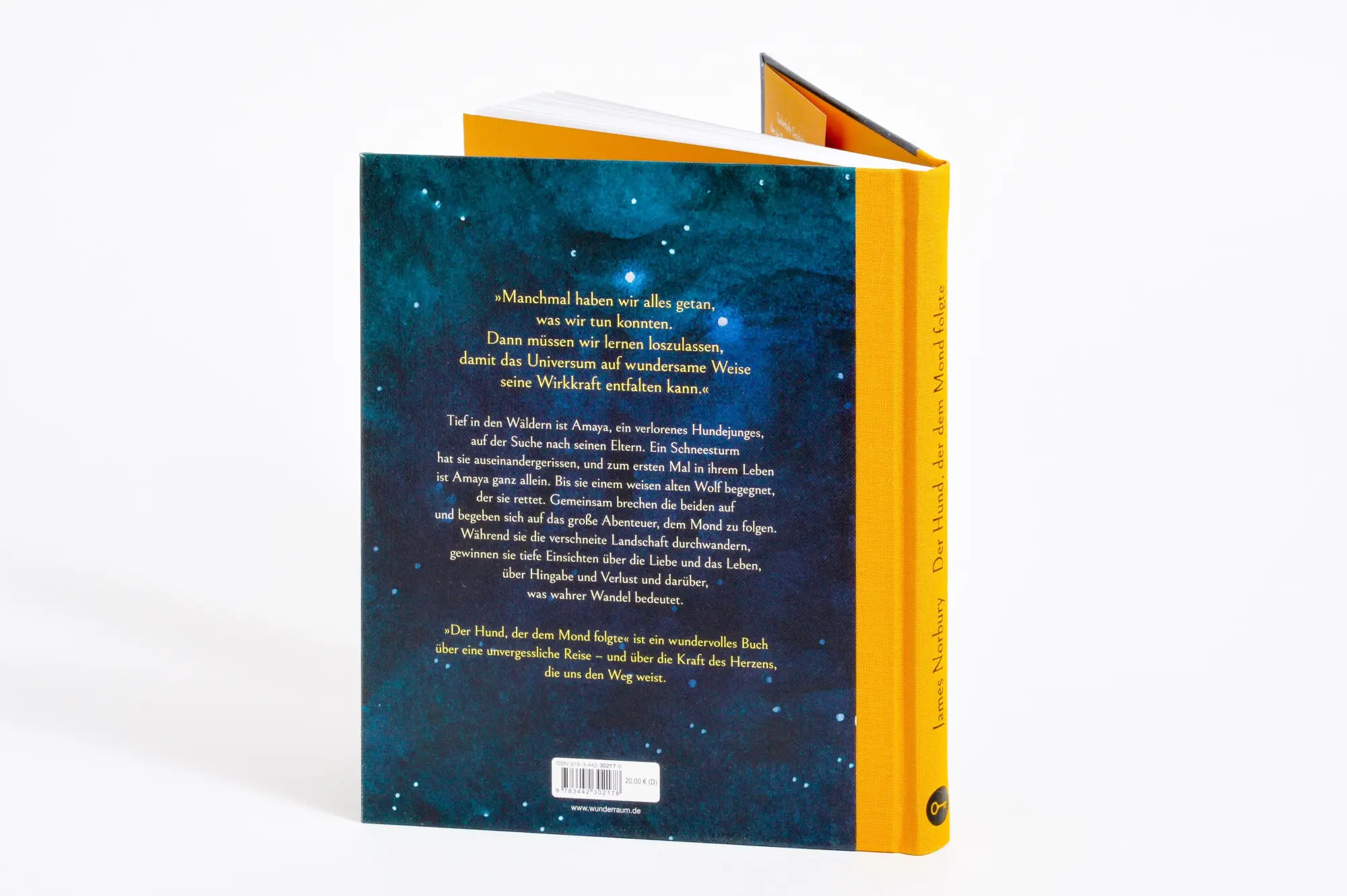 Bild: 9783442302178 | Der Hund, der dem Mond folgte | James Norbury | Buch | 176 S. | 2025