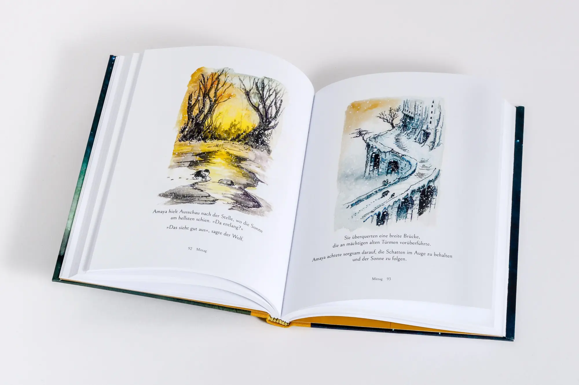 Bild: 9783442302178 | Der Hund, der dem Mond folgte | James Norbury | Buch | 176 S. | 2025
