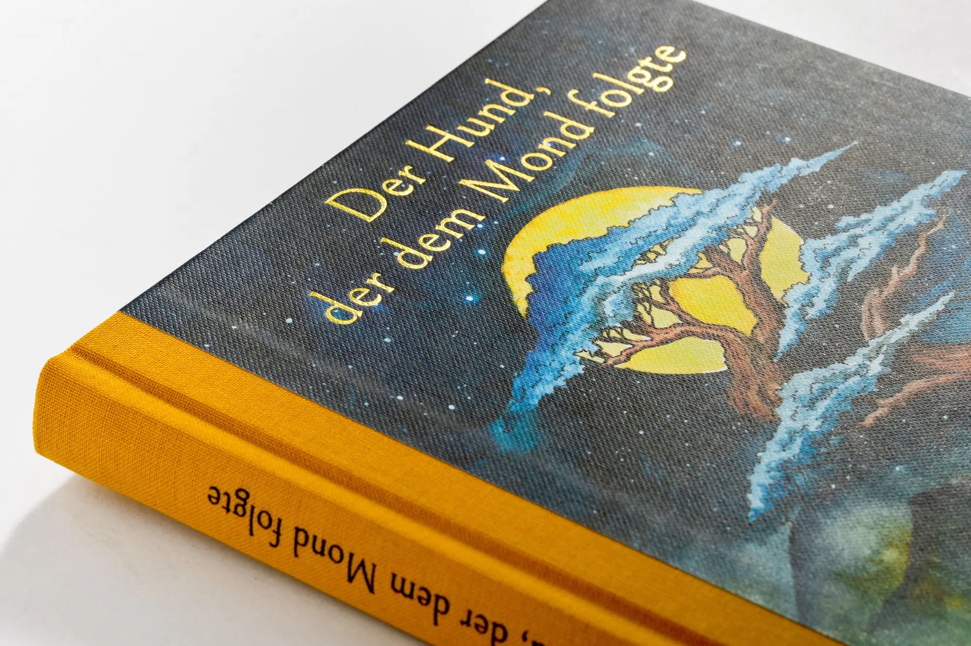 Bild: 9783442302178 | Der Hund, der dem Mond folgte | James Norbury | Buch | 176 S. | 2025