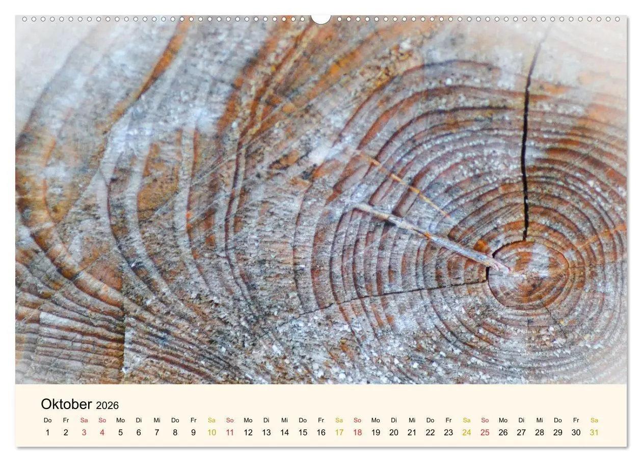 Bild: 9783457632178 | Faszination Holz (Wandkalender 2026 DIN A2 quer), CALVENDO...