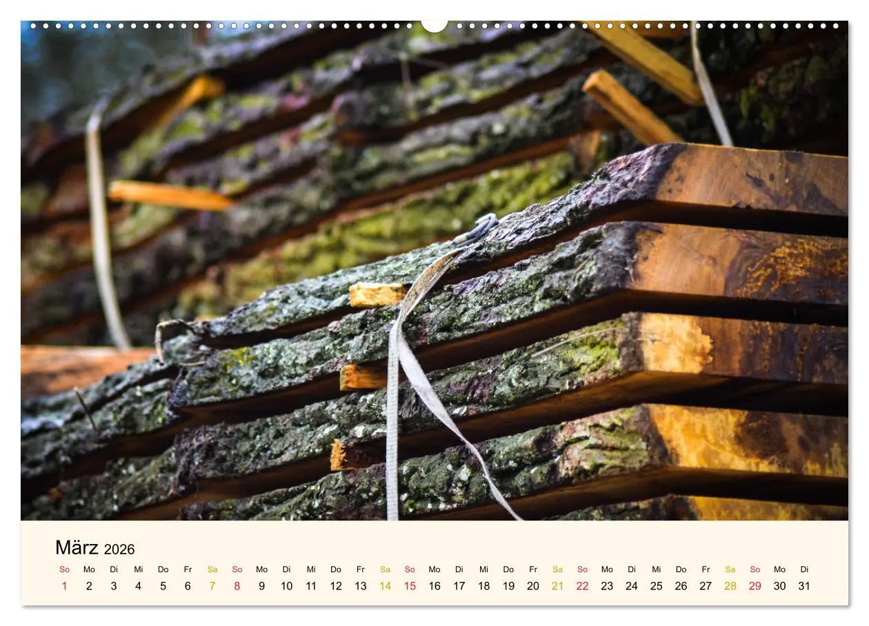 Bild: 9783457632178 | Faszination Holz (Wandkalender 2026 DIN A2 quer), CALVENDO...