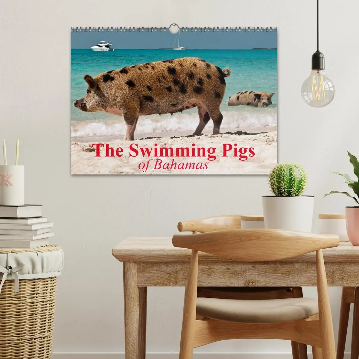 Bild: 9783516582178 | The Swimming Pigs of Bahamas (Wall Calendar 2026 DIN A3 landscape),...