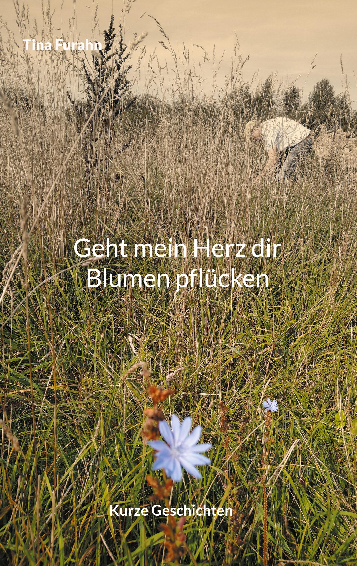 Cover: 9783758372278 | Geht mein Herz dir Blumen pflücken | Kurze Geschichten | Tina Furahn
