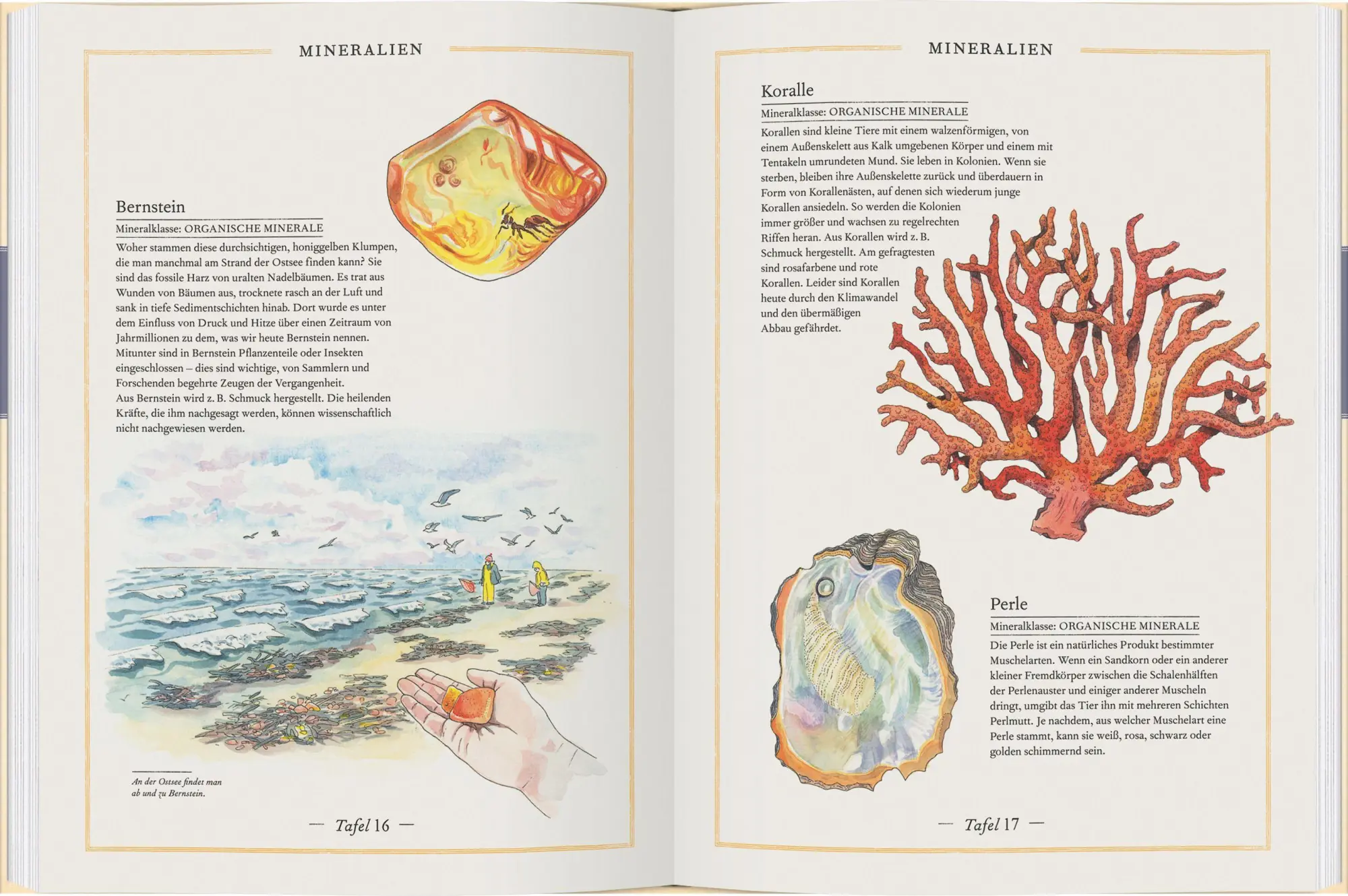Bild: 9783836962278 | Gold, Granit &amp; Diamant | Die Welt der Steine und Mineralien | Aladjidi