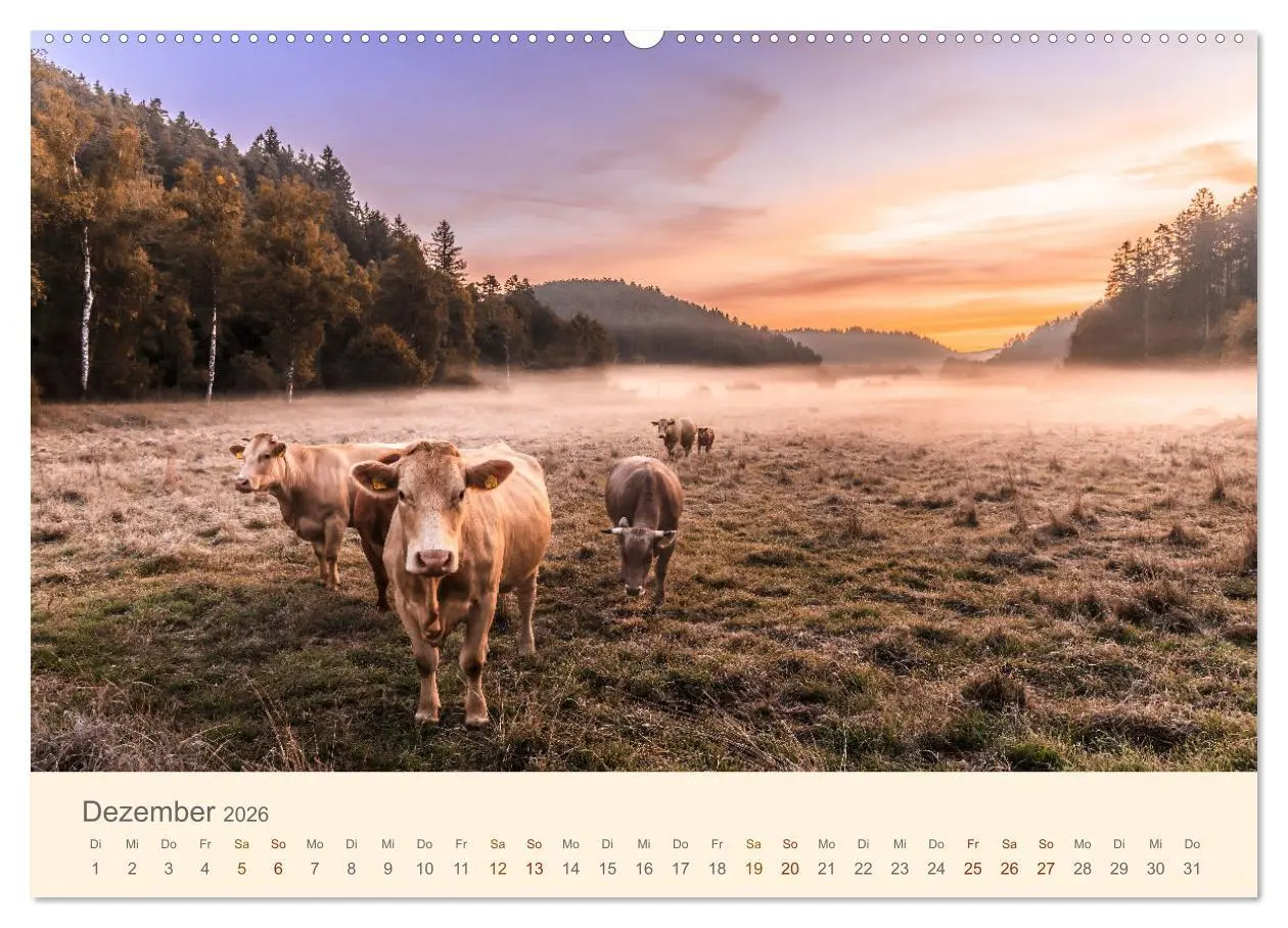 Bild: 9783457922378 | Lautrer Landschaften 2026 (Wandkalender 2026 DIN A2 quer), CALVENDO...