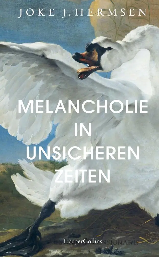 Cover: 9783749902378 | Melancholie in unsicheren Zeiten | Joke J. Hermsen | Buch | 238 S.