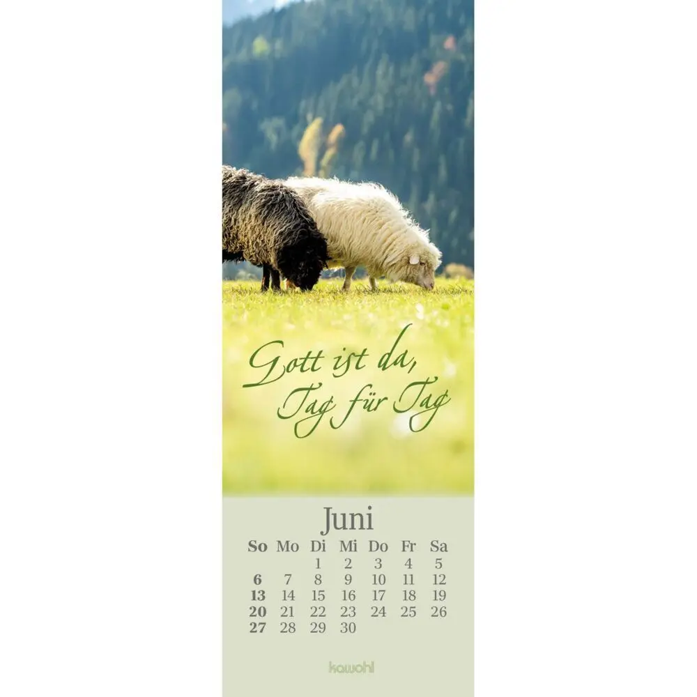 Bild: 9783754852378 | Sei behütet jeden Tag 2027 | Impulse und Gedanken zu Psalm 23 | 14 S.