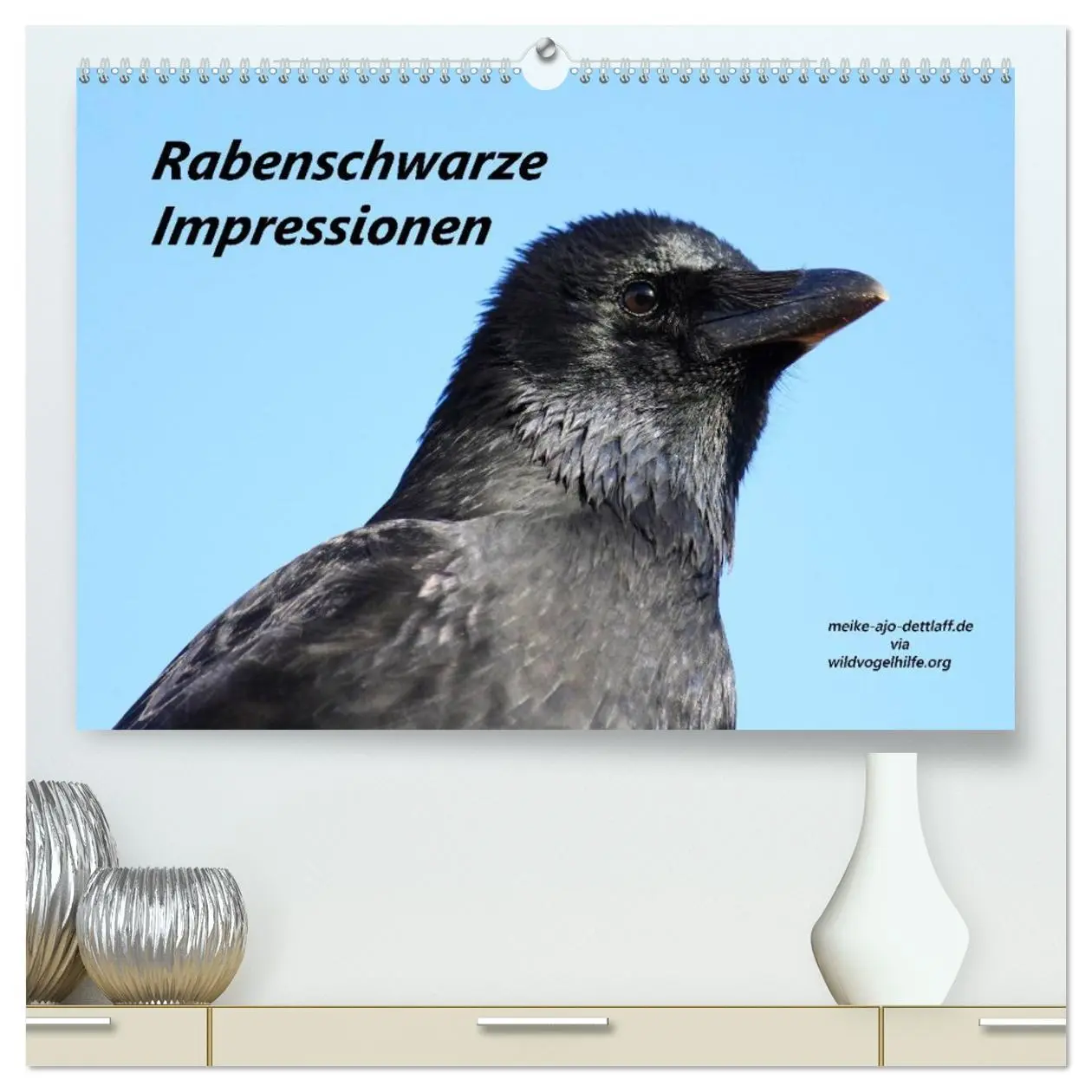 Cover: 9783516002478 | Rabenschwarze Impressionen - meike-ajo-dettlaff.de via...