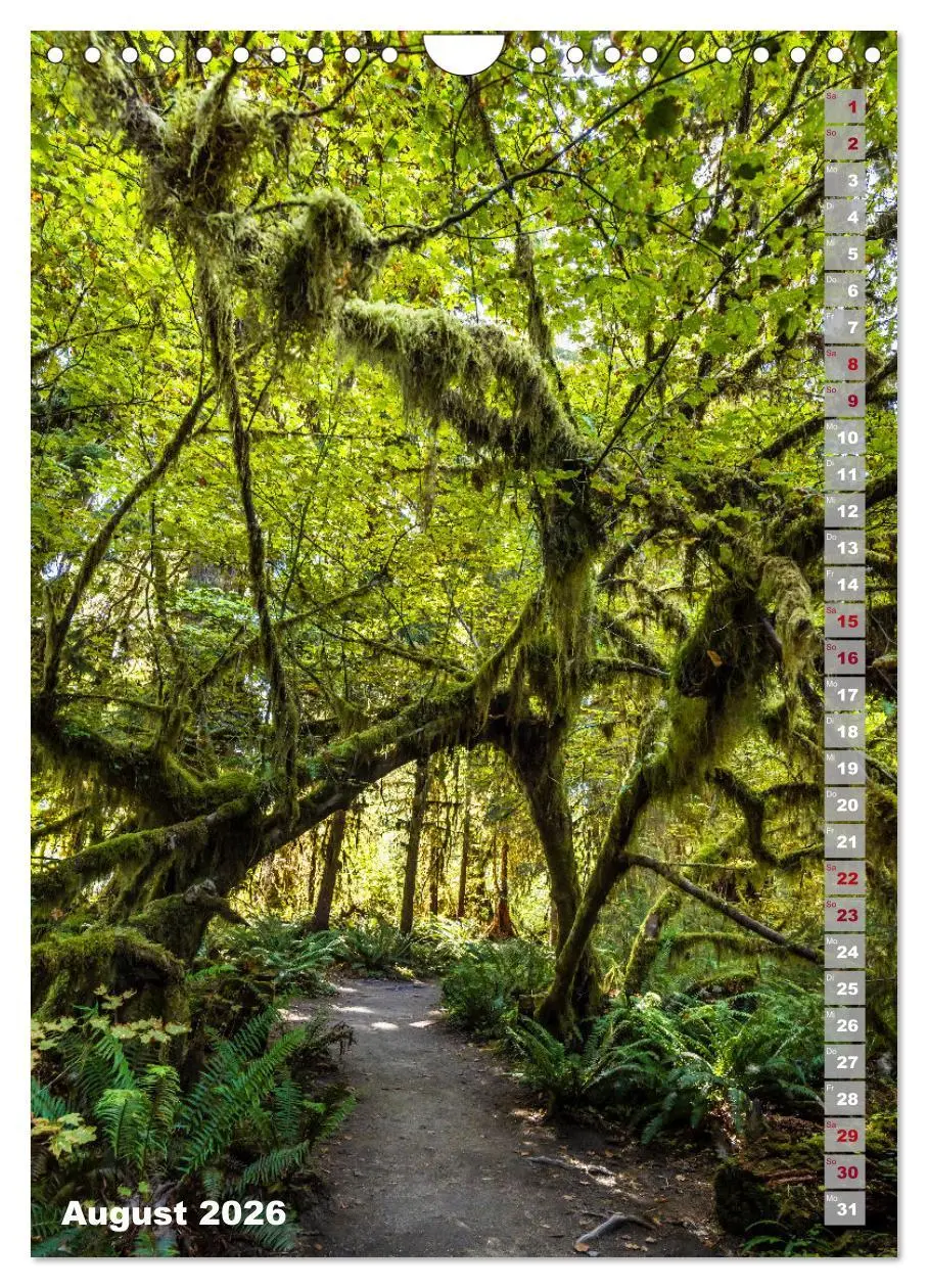 Bild: 9783516242478 | SEATTLE Imposante Stadt- und Naturimpressionen (Wandkalender 2026...