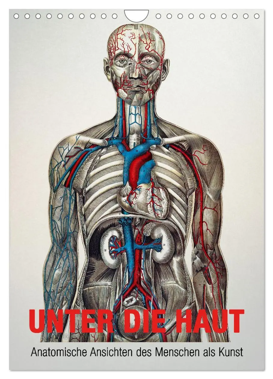 Cover: 9783516482478 | Unter die Haut (Wandkalender 2026 DIN A4 hoch), CALVENDO...