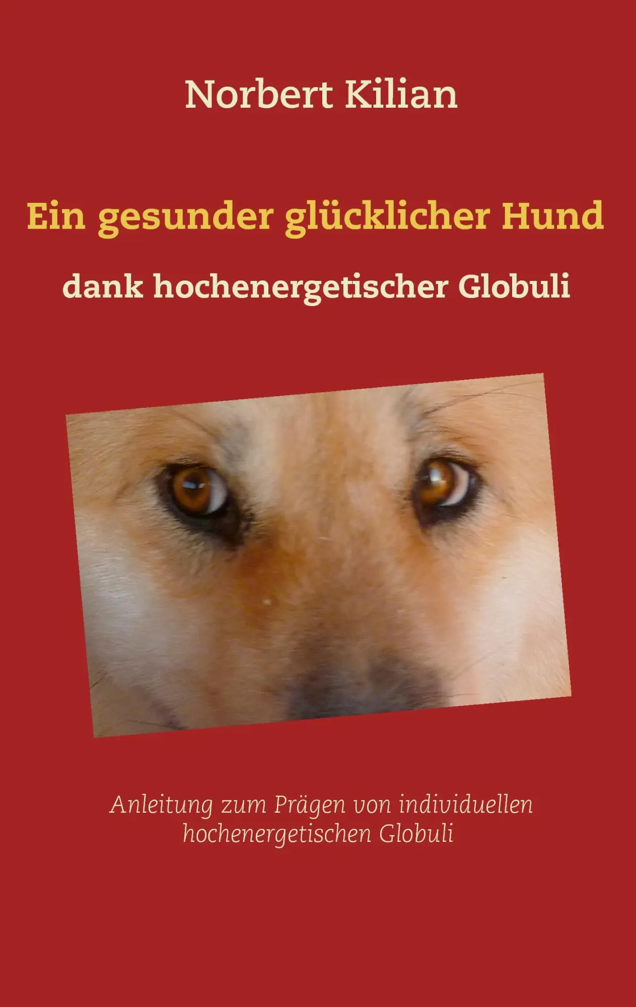 Cover: 9783743192478 | Ein gesunder glücklicher Hund dank hochenergetischer Globuli | Kilian