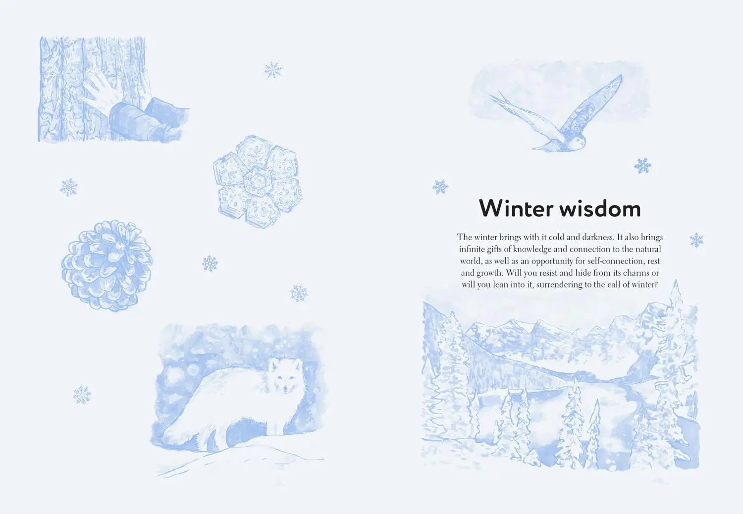 Bild: 9781911682578 | Fifty Things to Do in the Snow | Richard Skrein | Buch | Gebunden