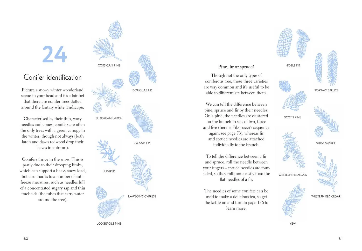 Bild: 9781911682578 | Fifty Things to Do in the Snow | Richard Skrein | Buch | Gebunden
