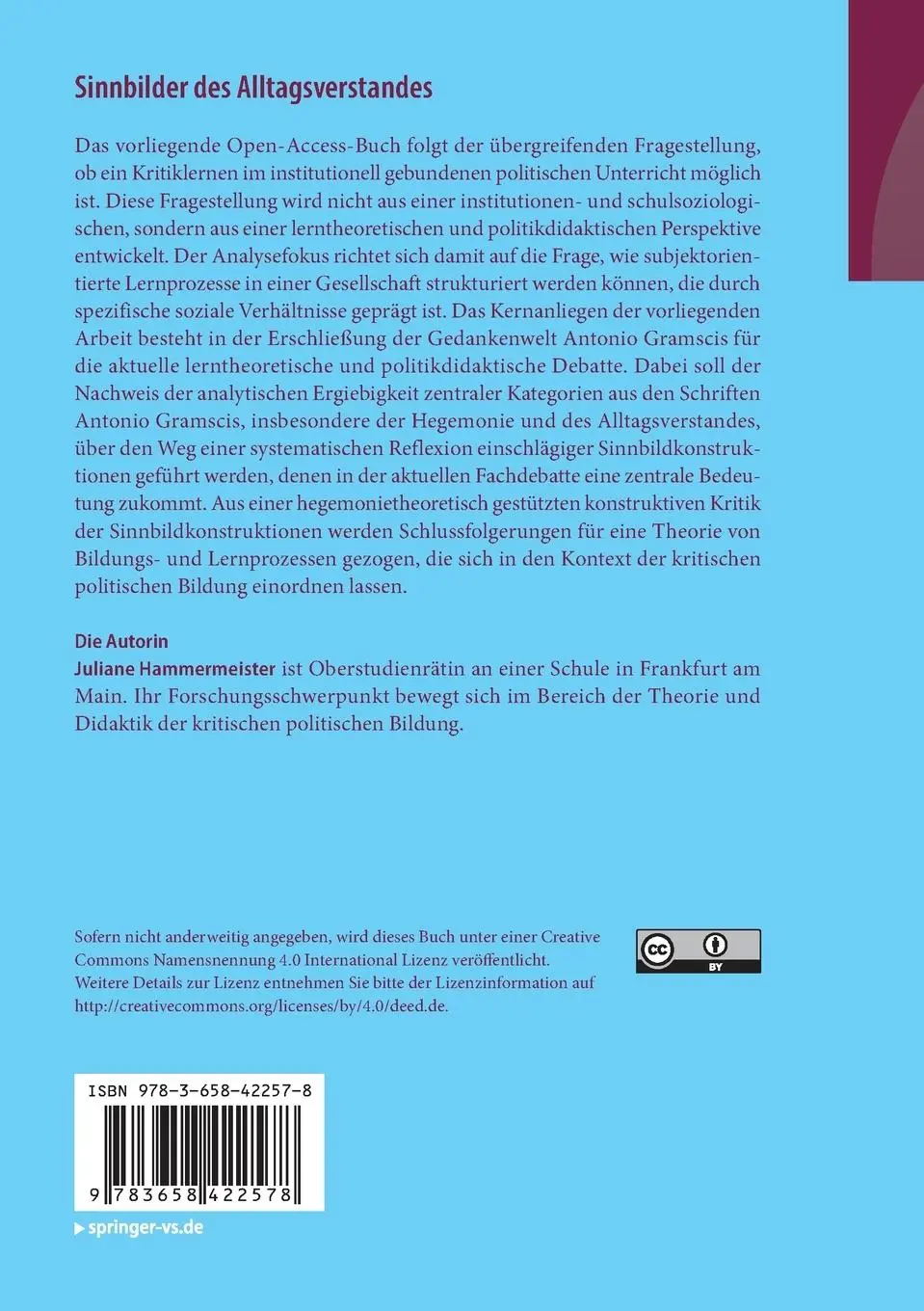 Rückseite: 9783658422578 | Sinnbilder des Alltagsverstandes | Juliane Hammermeister | Taschenbuch