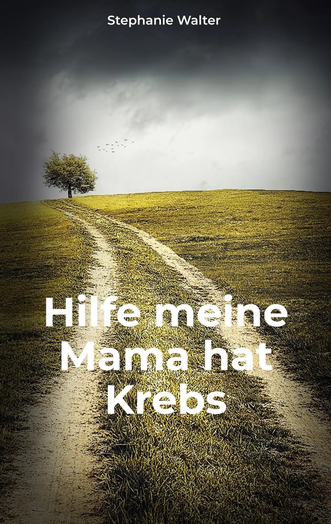 Cover: 9783750492578 | Hilfe meine Mama hat Krebs | Stephanie Walter | Taschenbuch | 126 S.