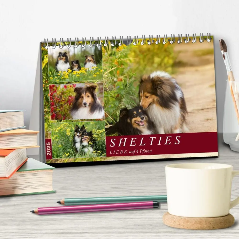 Bild: 9783435422678 | SHELTIES Liebe auf 4 Pfoten (Tischkalender 2025 DIN A5 quer),...