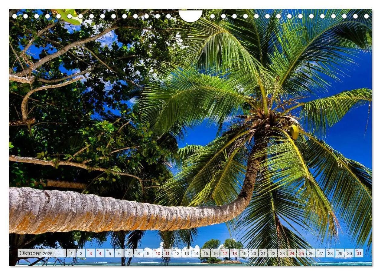 Bild: 9783516532678 | Die Seychellen - ganz nah am Paradies (Wandkalender 2026 DIN A4...