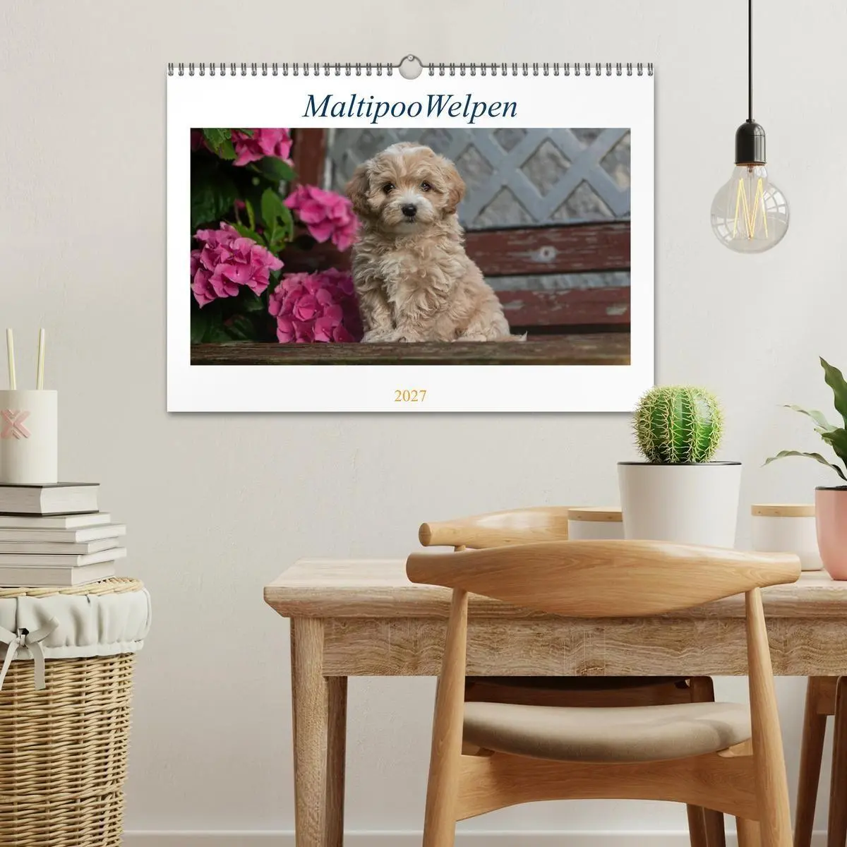 Bild: 9783569482678 | Maltipoo Welpen (Wandkalender 2027 DIN A3 quer), CALVENDO...