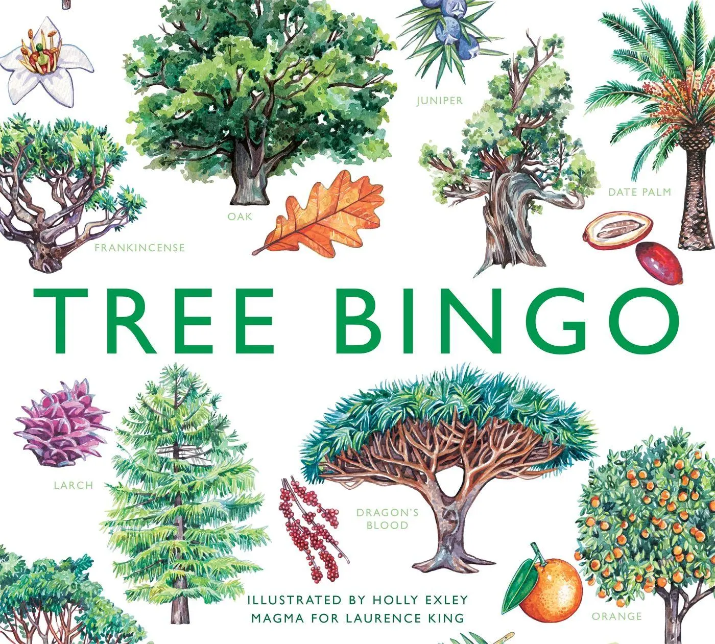 Cover: 9781399602778 | Tree Bingo | Tony Kirkham | Spiel | Brettspiel | Englisch | 2022