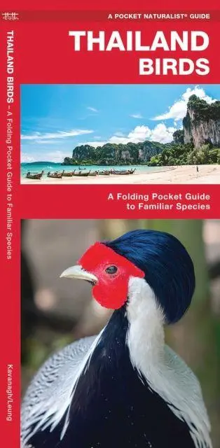 Cover: 9781620052778 | Thailand Birds | A Folding Pocket Guide to Familiar Species | Englisch