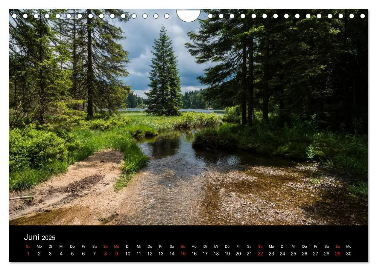 Bild: 9783435722778 | Bayerischer Wald (Wandkalender 2025 DIN A4 quer), CALVENDO...