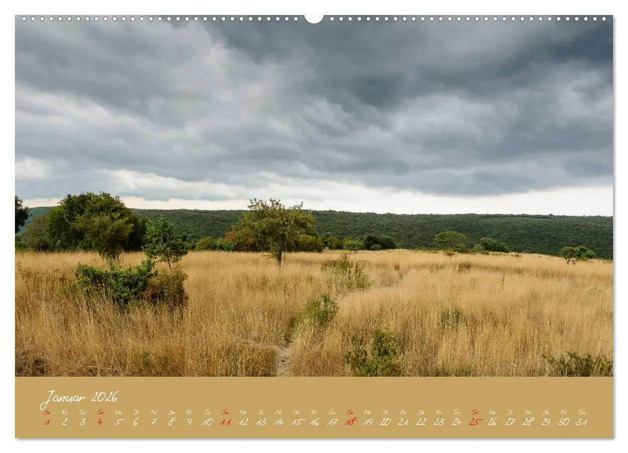 Bild: 9783457742778 | Wunderschönes Istrien (hochwertiger Premium Wandkalender 2026 DIN...