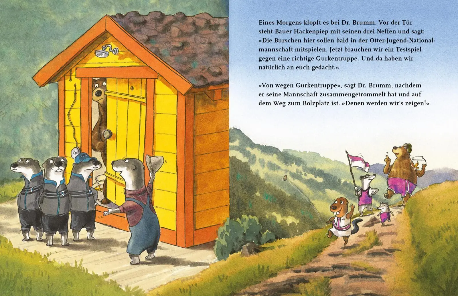 Bild: 9783522462778 | Dr. Brumm: Anpfiff für Dr. Brumm | Daniel Napp | Buch | Dr. Brumm
