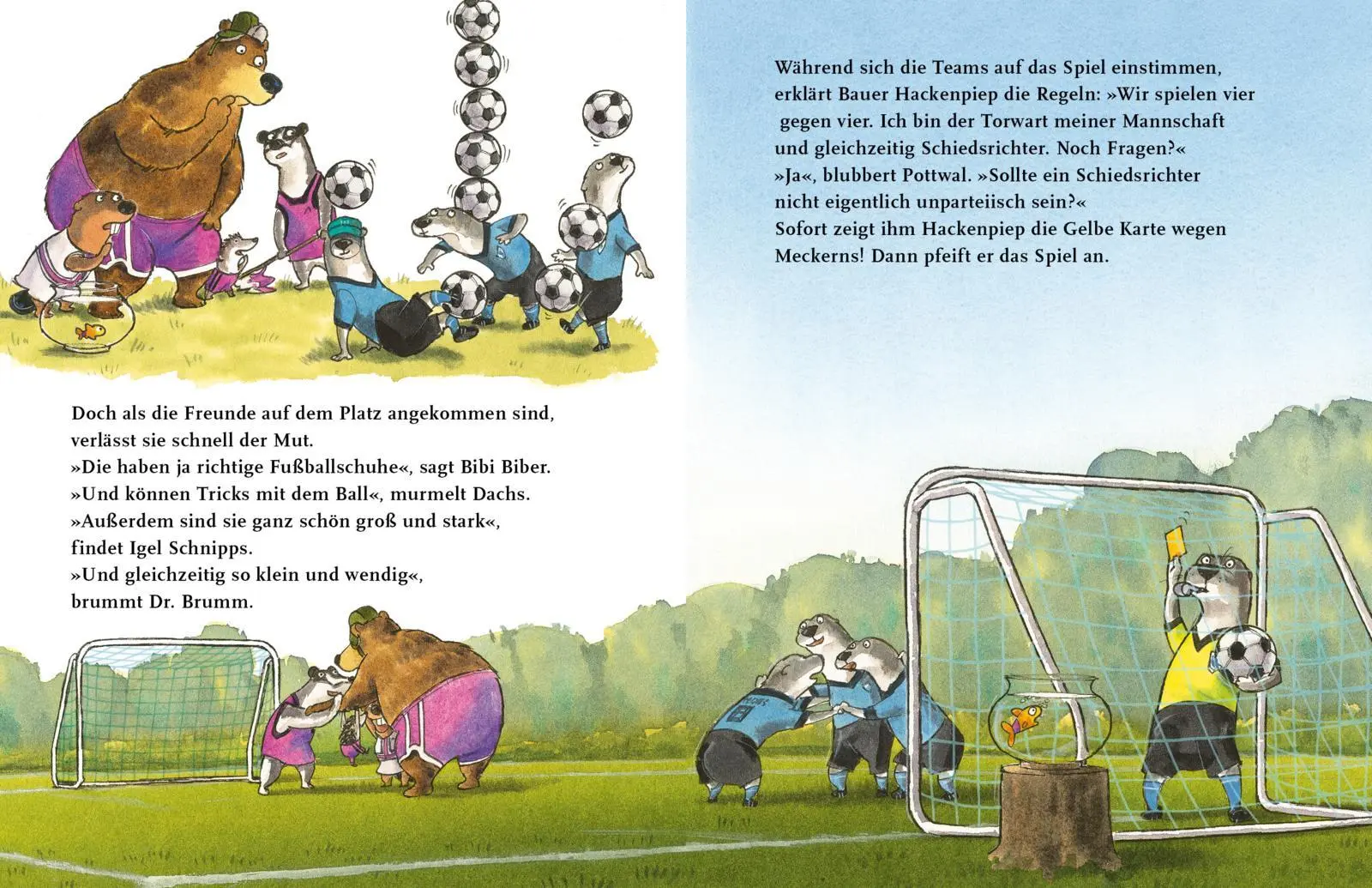 Bild: 9783522462778 | Dr. Brumm: Anpfiff für Dr. Brumm | Daniel Napp | Buch | Dr. Brumm
