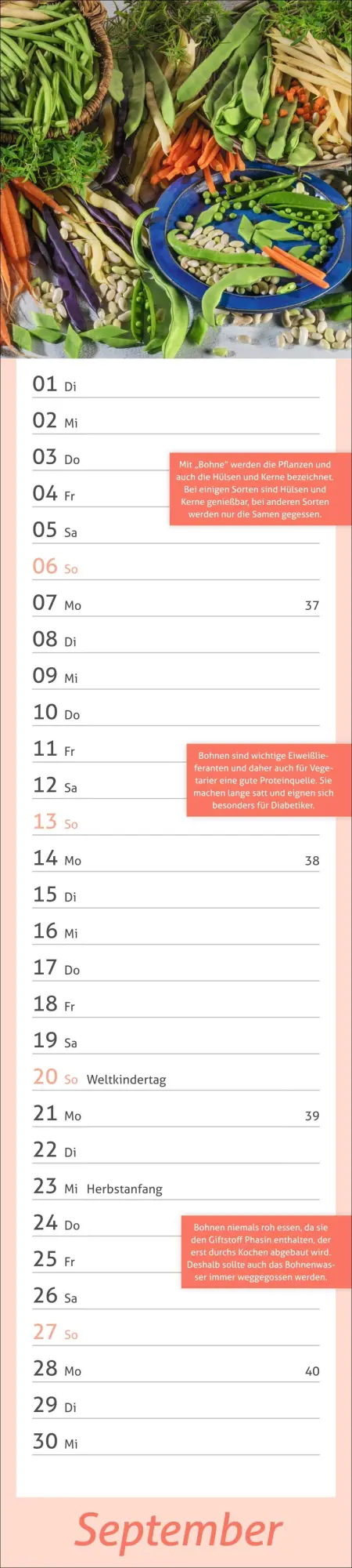 Bild: 9783756412778 | times&amp;more Küche Langplaner 2026 | Heye | Kalender | Spiralbindung