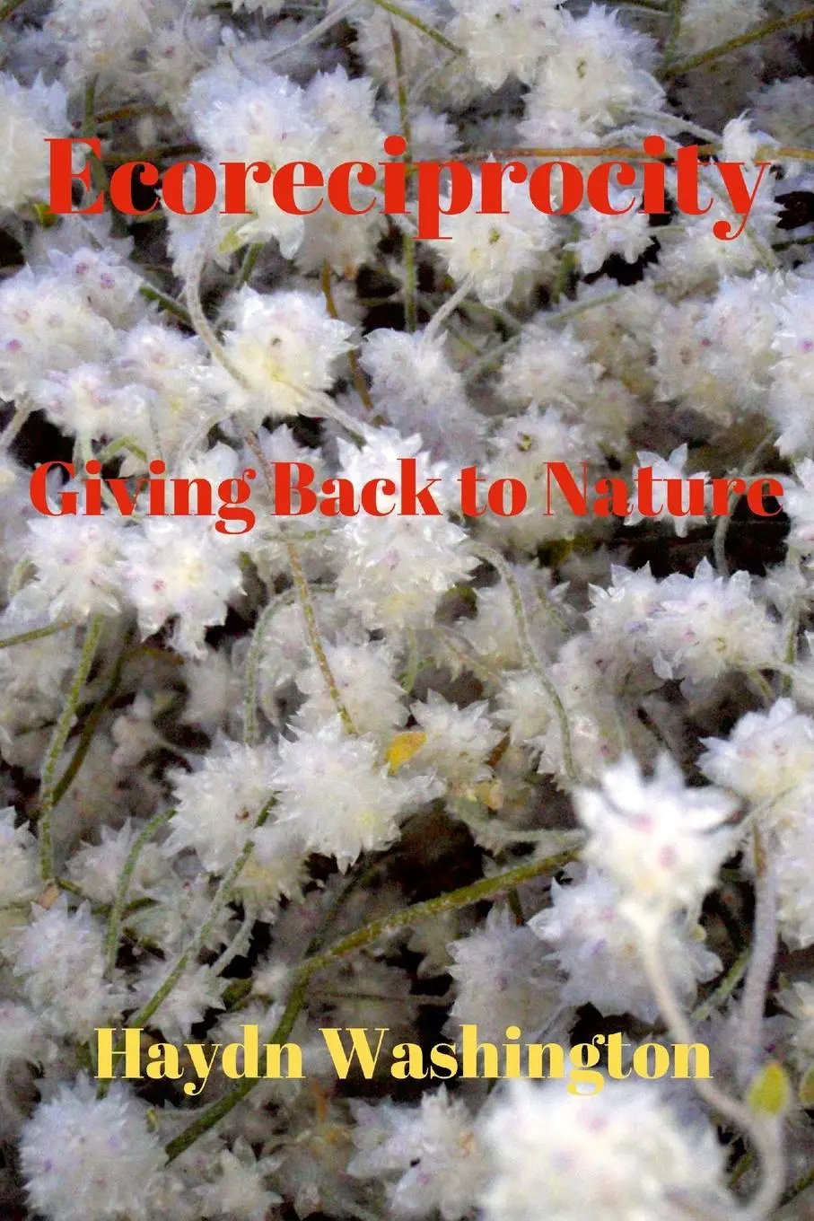Cover: 9781008912878 | Ecoreciprocity | Giving Back to Nature | Haydn Washington | Buch