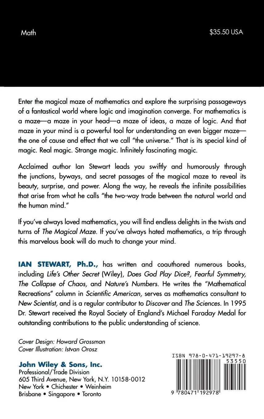 Rückseite: 9780471192978 | The Magical Maze | Seeing the World Through Mathematical Eyes | Buch