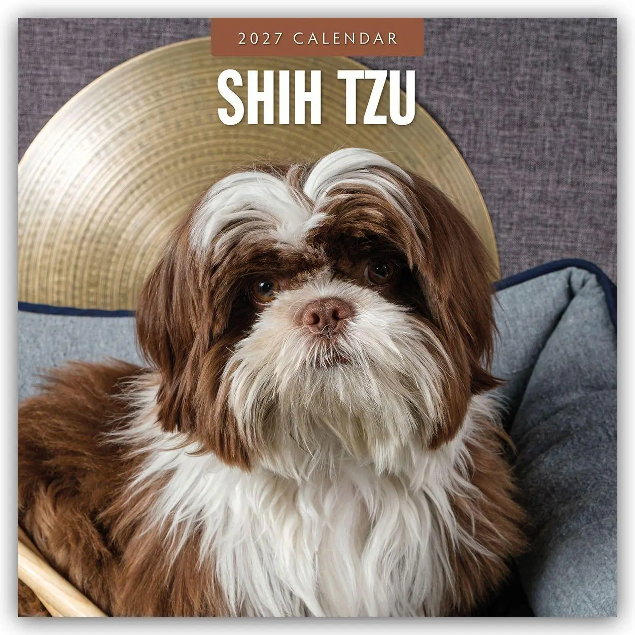 Cover: 9781837012978 | Shih Tzu 2027 - 16-Monatskalender | Robin Red | Kalender | 28 S.